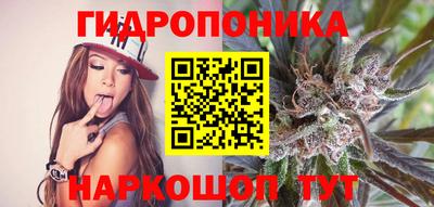 спиды Гагарин