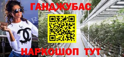 спиды Гагарин