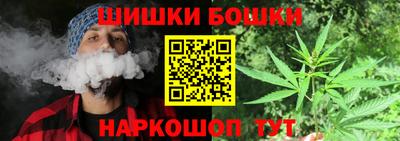 МДПВ Гатчина